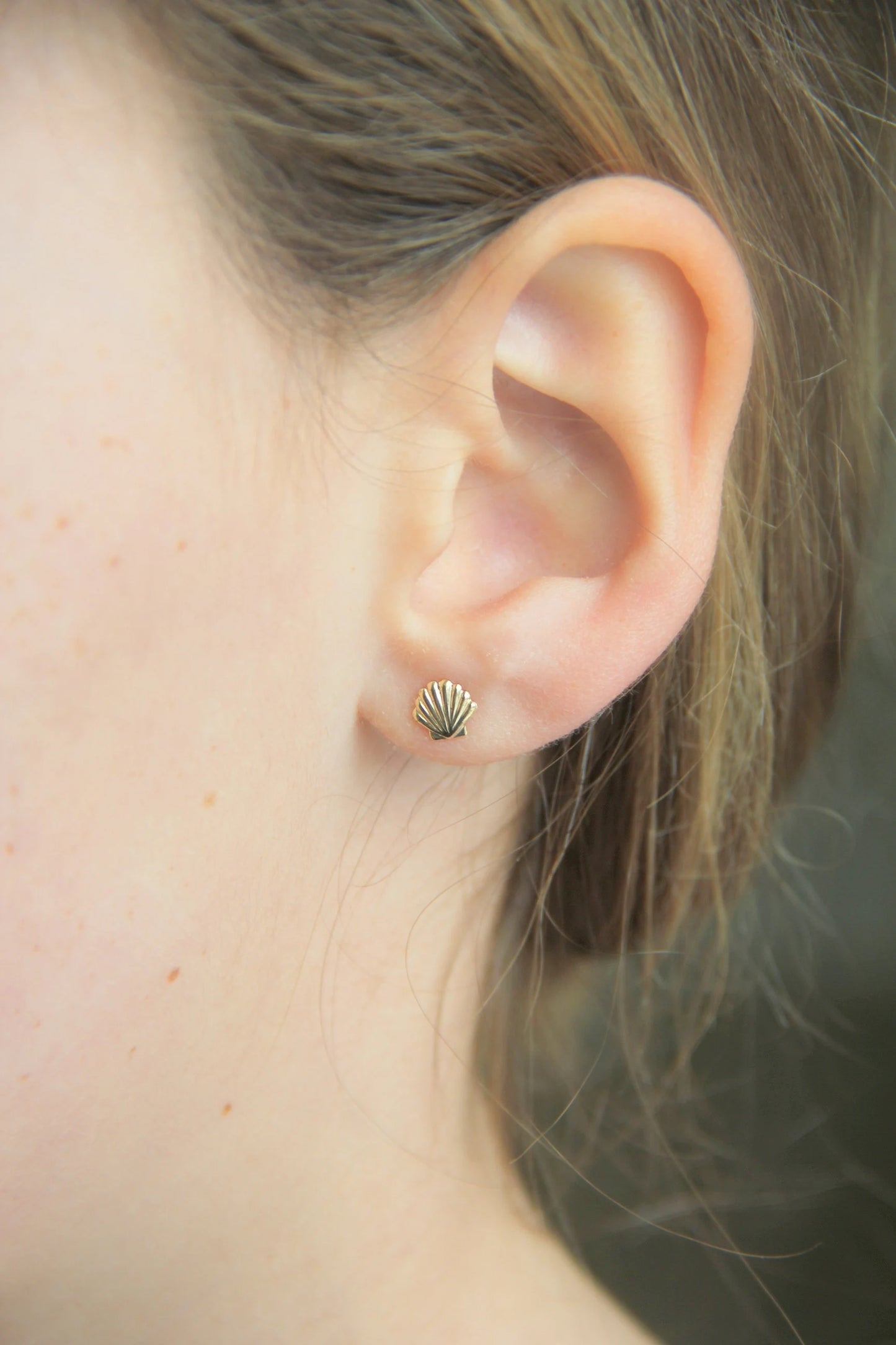 Seashell earrings